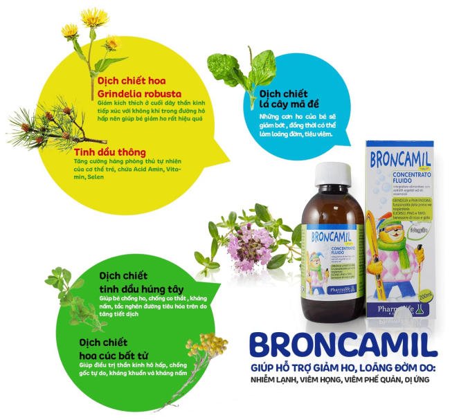 Fitobimbi Broncamil - Thành phần thảo dược chuẩn hóa Châu Âu