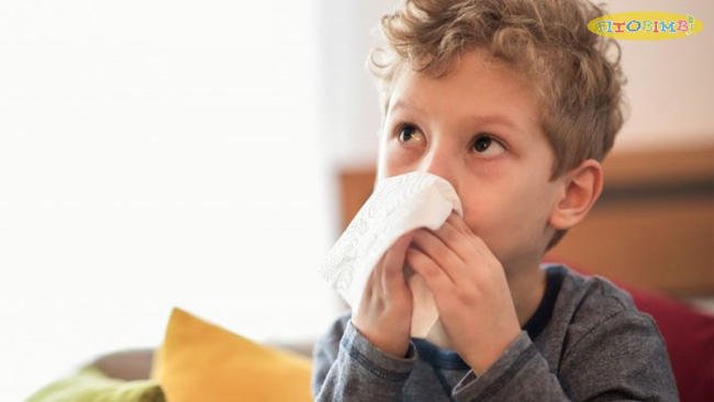 Fitobimbi Propoli - Siro thảo dược giảm ho do cảm lạnh “thay” mẹ bảo vệ đường hô hấp cho bé yêu