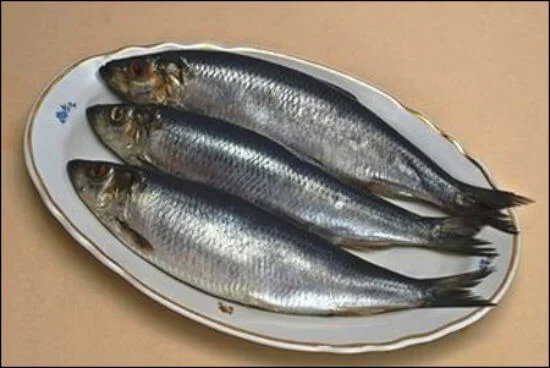 cá trích