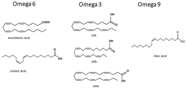 Phân biệt cấu trúc Omega 3, Omega 6 và Omega 9