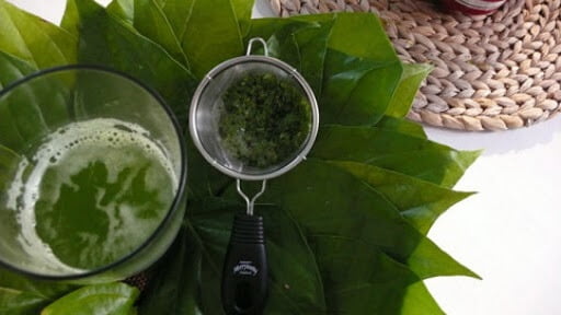 Lá trầu không trị hăm vùng kín cho bé