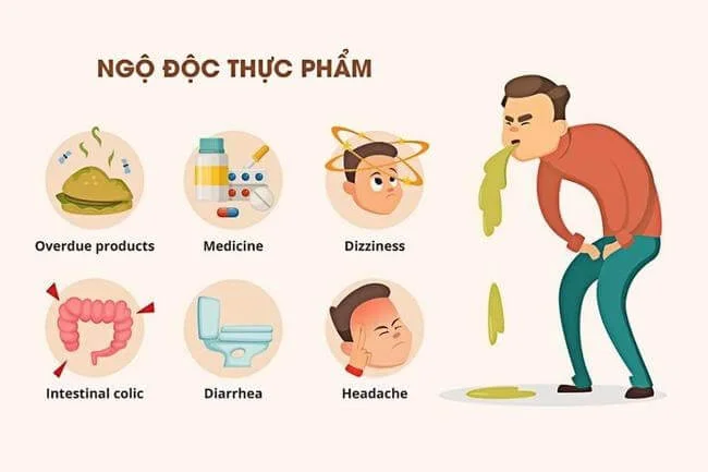 Bổ sung men tiêu hóa khi bị ngộ độc thực phẩm