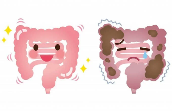 Men vi sinh và men tiêu hóa giúp đường ruột khỏe mạnh hơn