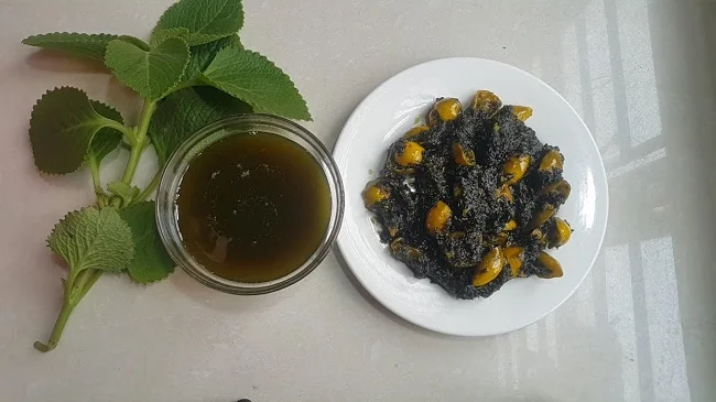 Bài thuốc long đờm cho bé bằng lá húng chanh