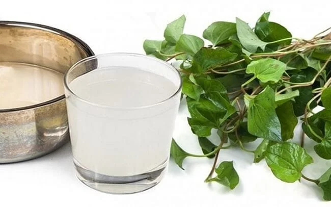 Rau diếp cá và nước vo gạo