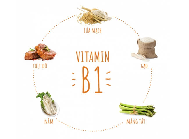 Vitamin B1 và các thực phẩm giàu vitamin B1
