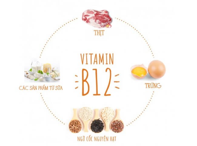 Vitamin B12 và các thực phẩm giàu vitamin B12