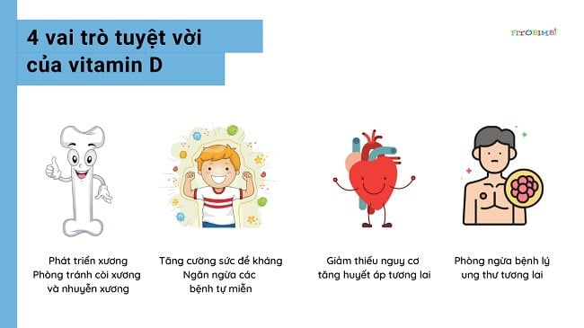 Vitamin D đóng vai trò quan trọng với nhiều cơ quan trong cơ thể trẻ