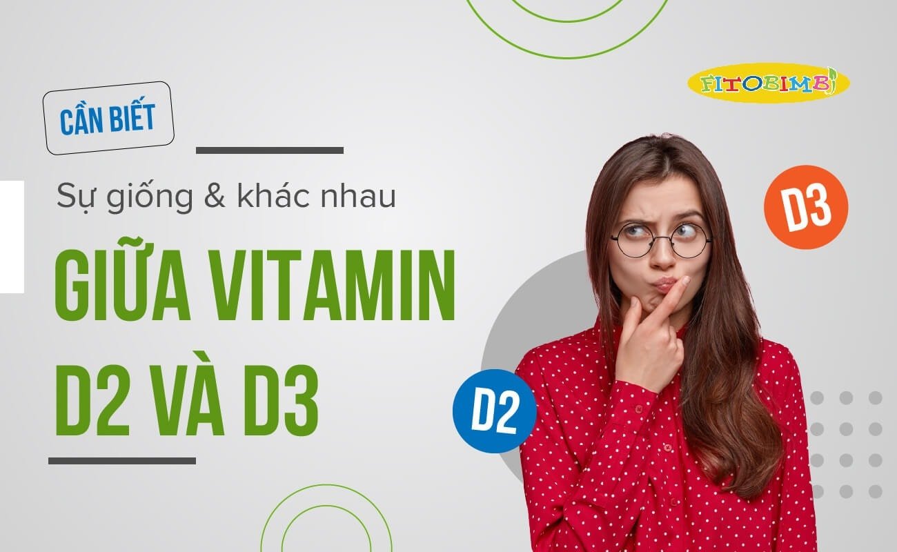 Liệu vitamin D2 có thể giúp tăng cường sức khỏe tim mạch và ngăn ngừa bệnh tim?
