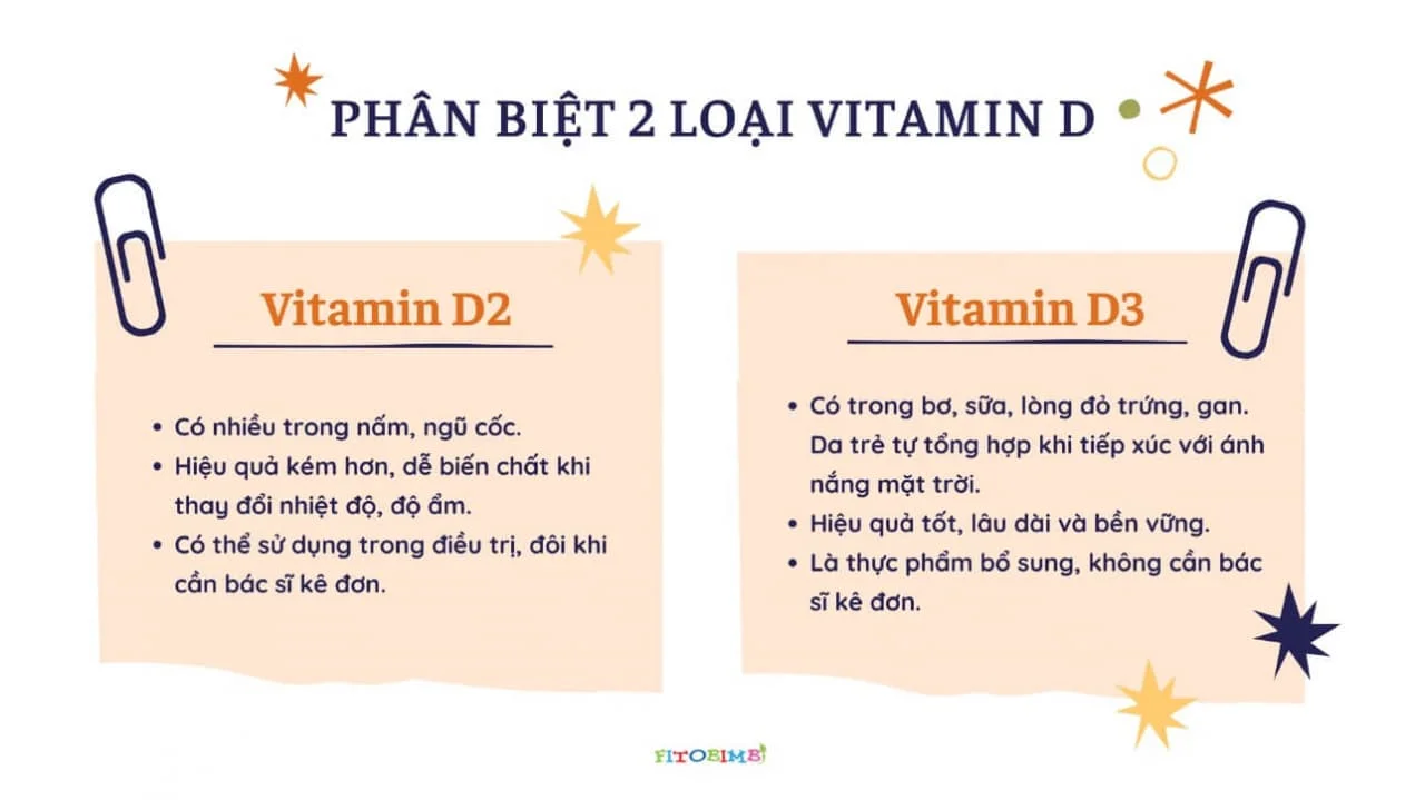 Tiêu chí lựa chọn Vitamin D