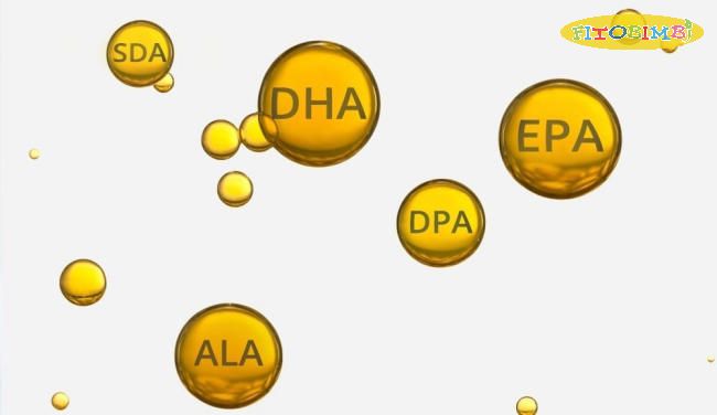 DHA là một trong những nhập 3 acid phệ Omega 3 cần thiết của cơ thể