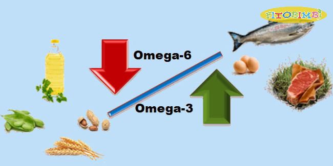 Omega 3, Omega 6 rất tốt cho sự phát triển não bộ
