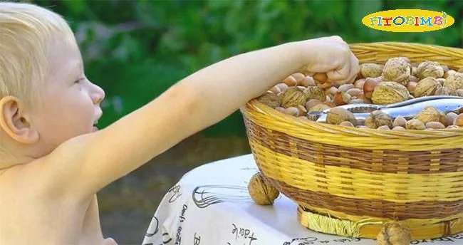 Quả óc chó giàu Omega 3 tốt cho trí thông minh của trẻ