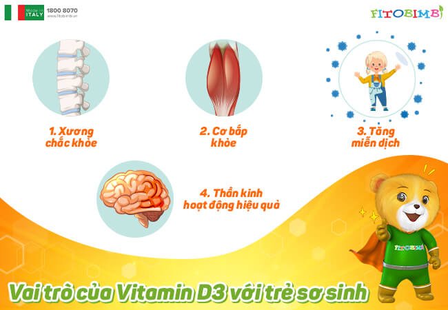 Vai trò của Vitamin D