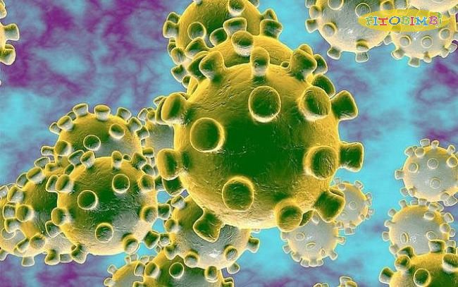 Vi khuẩn, virus là nguyên nhân chủ yếu gây viêm đường hô hấp trên