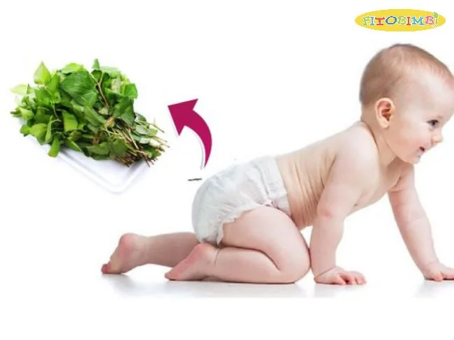 Bật mí cách dùng rau diếp cá trị ho cho trẻ sơ sinh