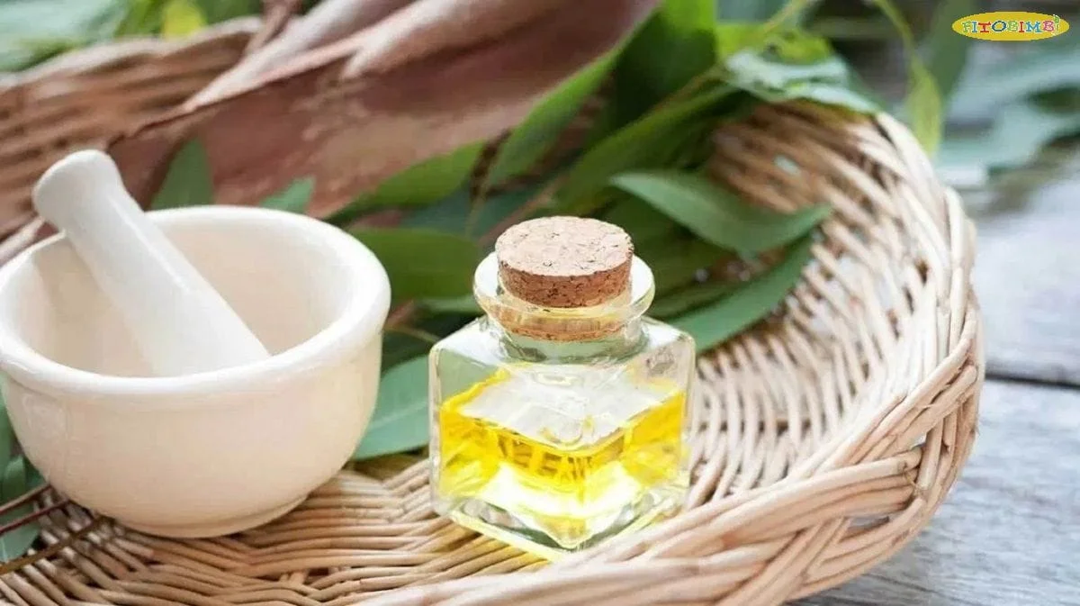 Cách dùng dầu khuynh diệp trị ho cho bé mang lại HIỆU QUẢ TỨC THÌ