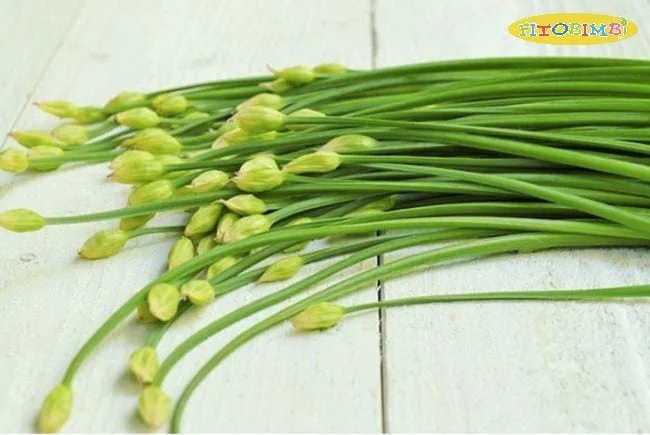 Cách trị ho bằng lá hẹ chưng mật ong
