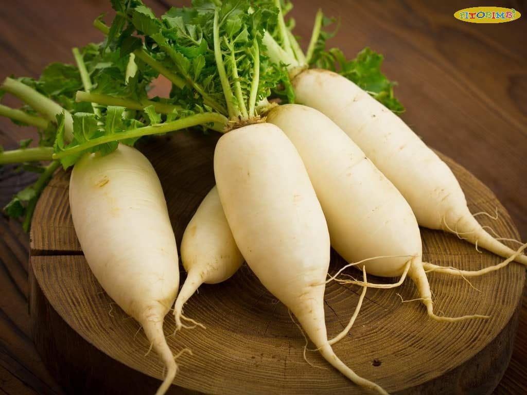 Chữa ho cho trẻ bằng củ cải trắng - Hiệu quả chỉ sau 2 - 3 ngày