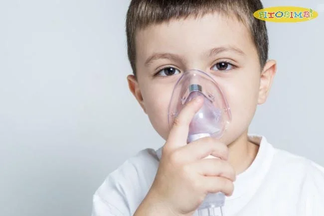 Dầu khuynh diệp có tác dụng trị ho do hen suyễn