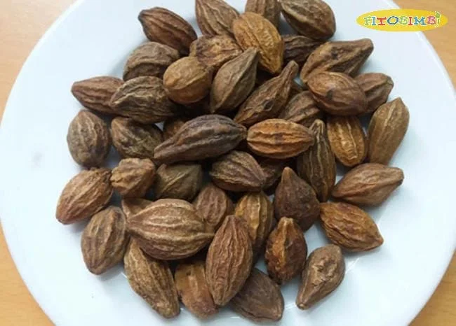 Ngậm quả kha tử