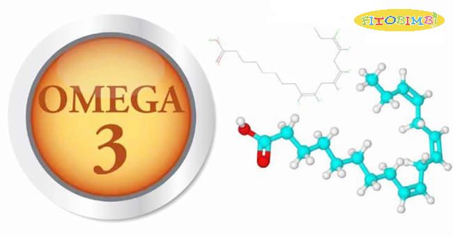 Omega 3 là dưỡng chất thiết yếu của mọi tế bào trong cơ thể