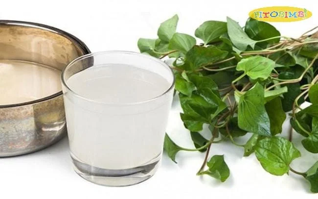 Rau diếp cá và nước vo gạo