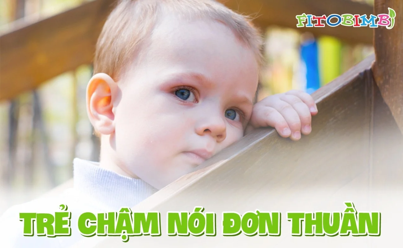 trẻ chậm nói đơn thuần