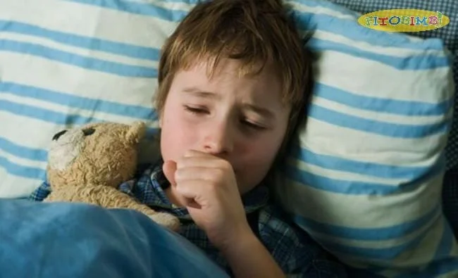 10 Cách trị ho vào ban đêm cho trẻ MẸ NÀO CŨNG NÊN BIẾT