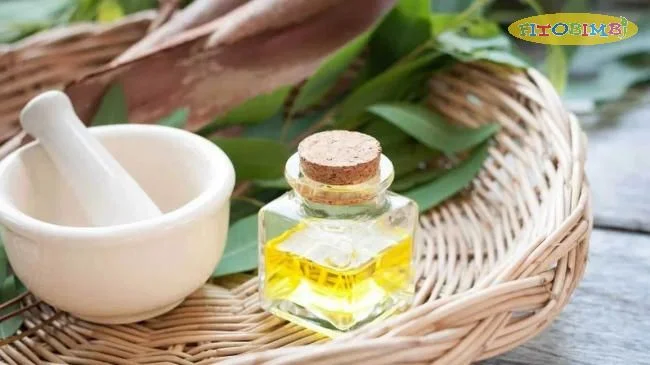 Giảm ho cho bé về đêm bằng dầu bạch đàn