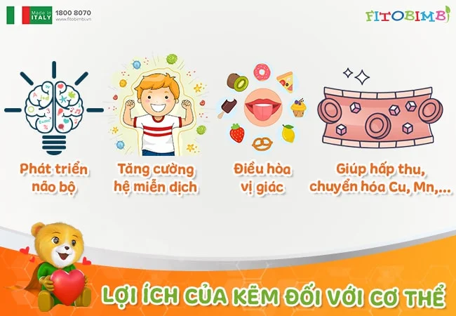 Bổ sung kẽm giúp trẻ khỏe mạnh, lớn nhanh
