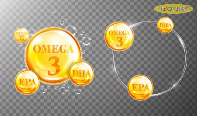 Omega 3 có nhiều trong các loại cá béo