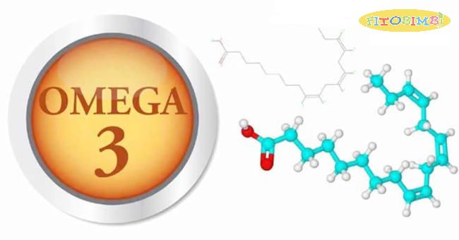 Omega 3 là dưỡng chất quan trọng của cơ thể