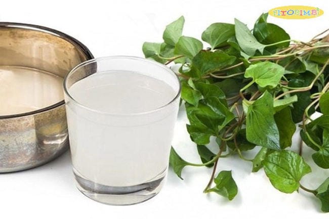 Rau diếp cá nấu với nước vo gạo giúp giảm ho đờm hiệu quả