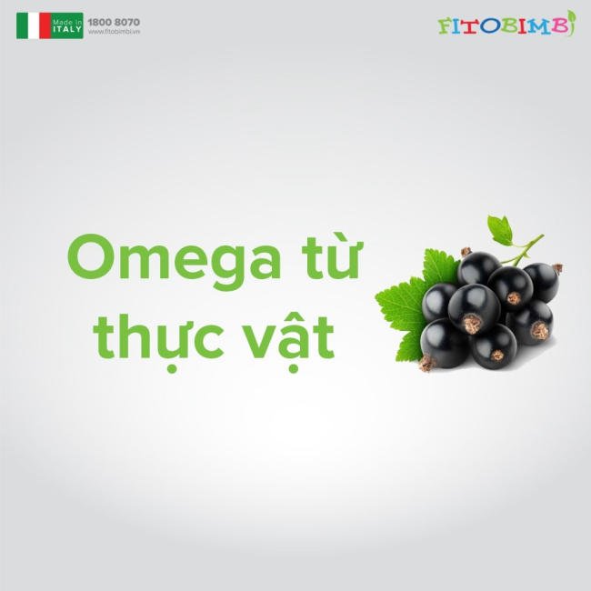 Thành phần 100% từ thực vật