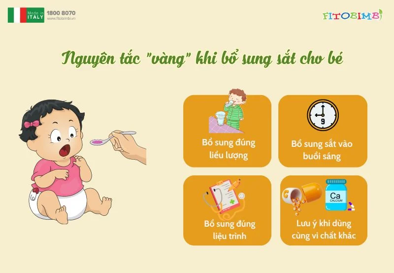 4 nguyên tắc vàng khi bổ sung sắt cho bé