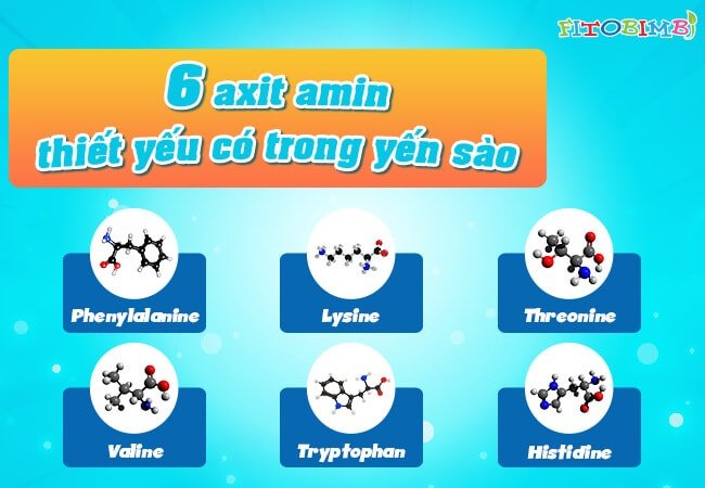 6 axit amin có trong yến sào