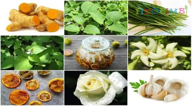 Mẹo dân gian chữa ho kích ứng cho trẻ