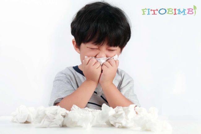 Viêm mũi dị ứng kiêng ăn gì