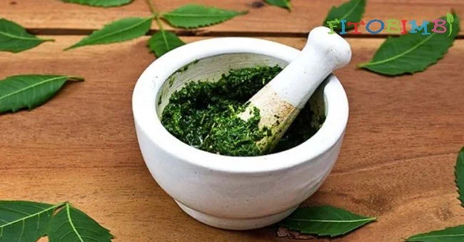 Hiệu quả của phương pháp chữa viêm xoang bằng lá lốt