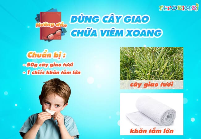 Cách chữa viêm xoang bằng cây giao
