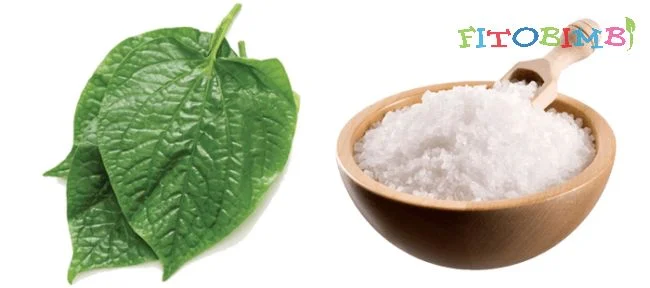 Lá lốt và muối chữa viêm xoang
