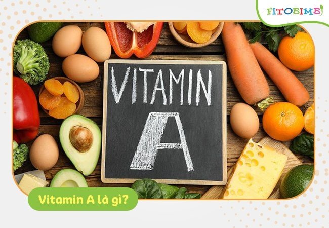 Vitamin A tan trong chất béo