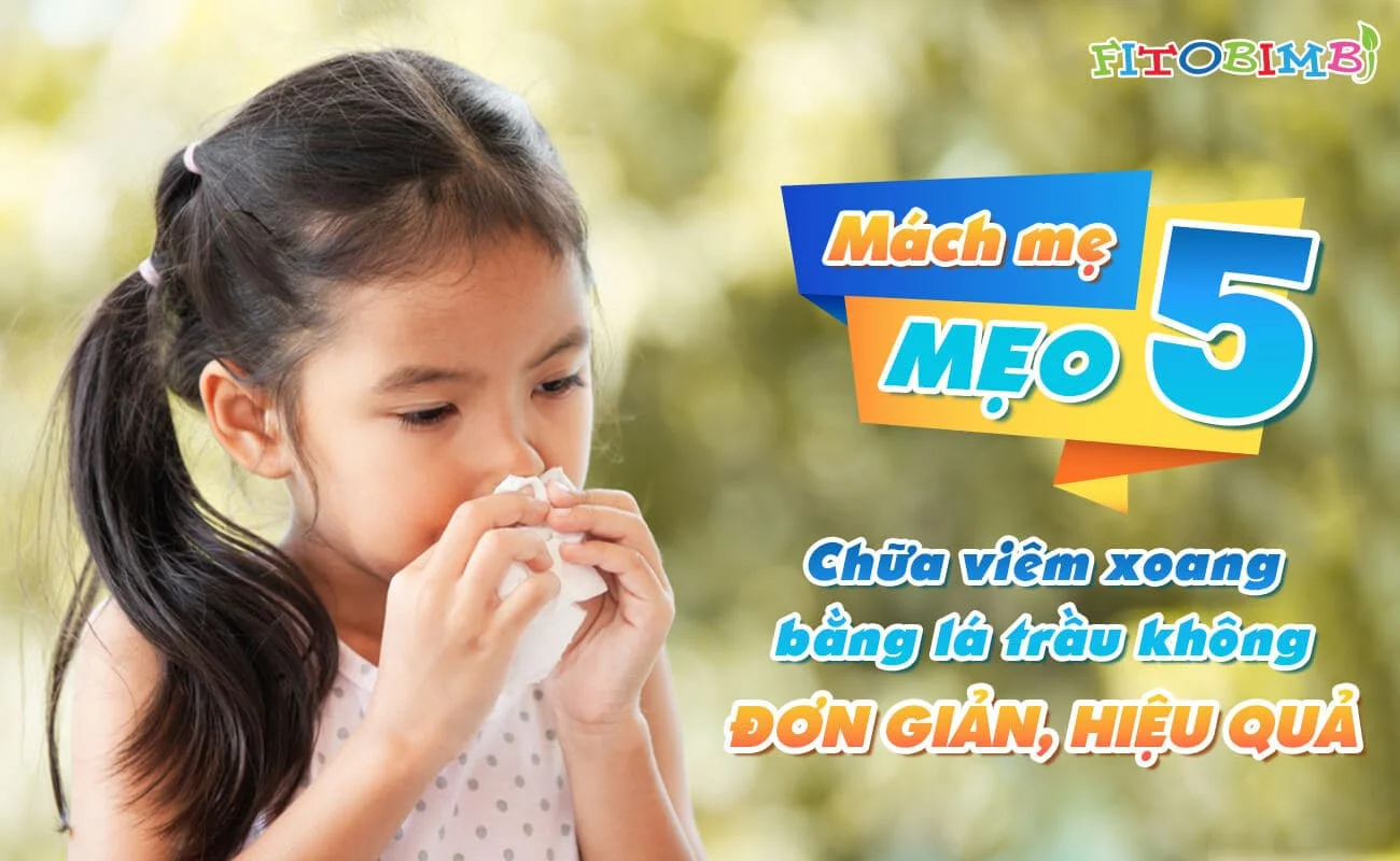 Chữa viêm xoang bằng lá trầu