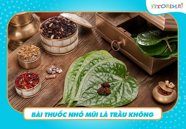 Chữa viêm xoang bằng lá trầu theo cách nhỏ mũi