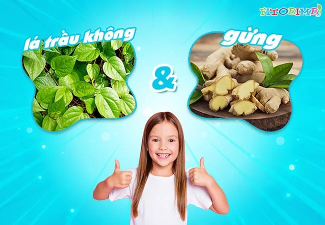 Chữa viêm xoang bằng lá trầu và gừng