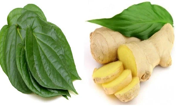 Lá trầu kết hợp với gừng