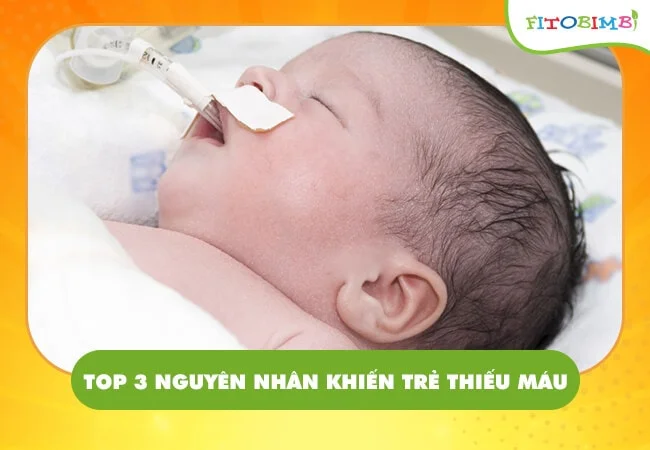 Trẻ thiếu máu là do đâu?