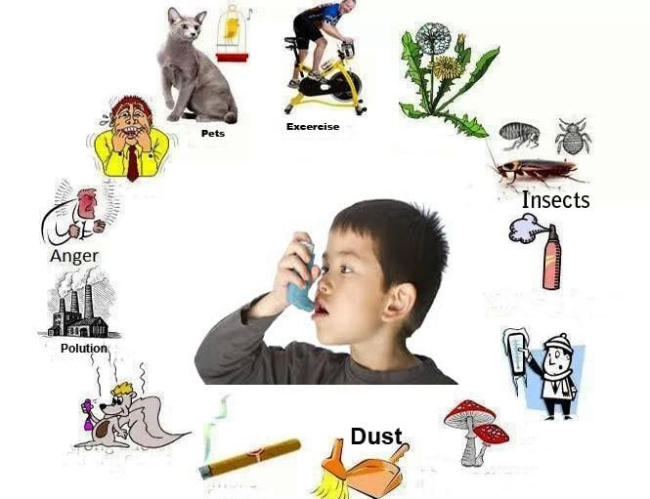 Nguyên nhân viêm phế quản dạng hen