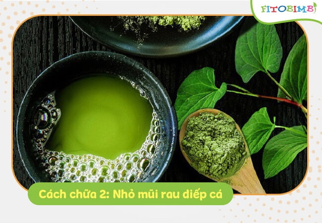 nho mui bang rau diep ca